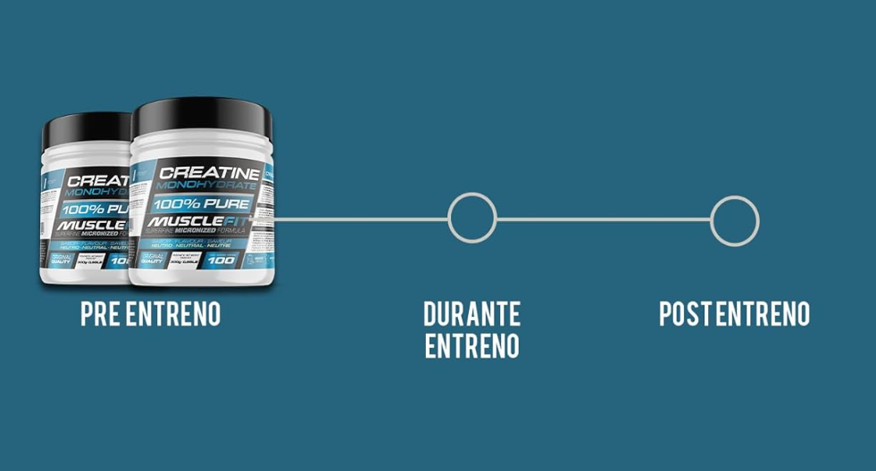 MuscleFit Pack 2 Monohidrato de Creatina Micronizada | Sin sabor 300 g | Sello de Calidad Garantizada | Dosis diaria de 3 g